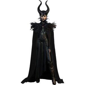 Women Black Witch Raven Costume Halloween Feather Shawl Mesh Cape with Horns Set